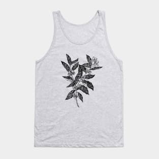 Coffea Tank Top